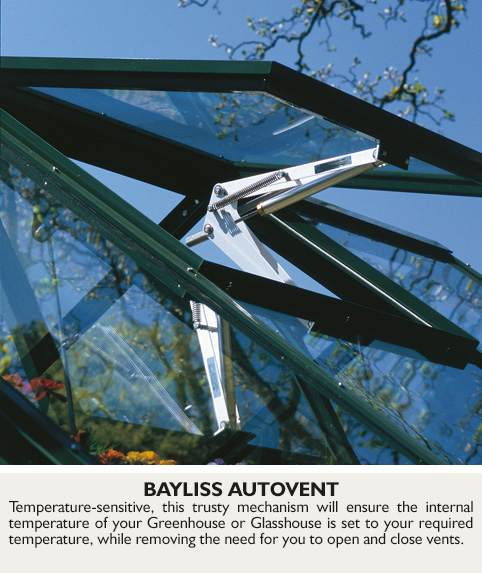 Bayliss-Autovent V2.jpg